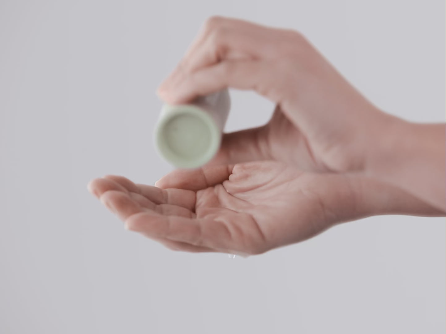 Antioxidant powder cleanser